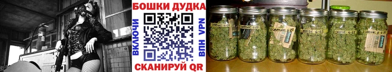 Конопля AK-47  Купить  Пучеж 